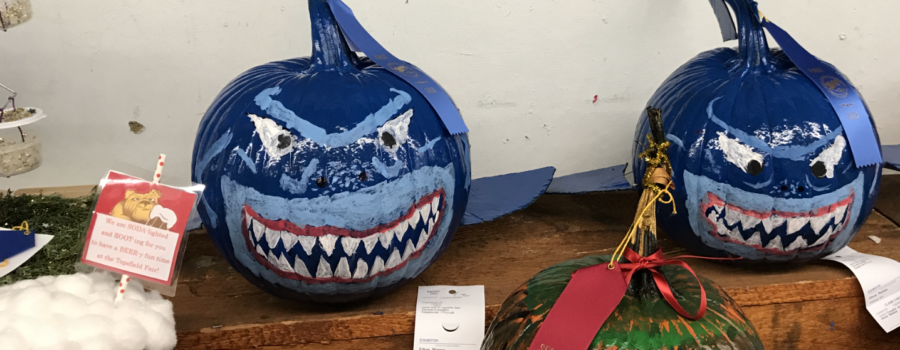Shark Sightings are Rising in Massachusetts, Even at the Fair!