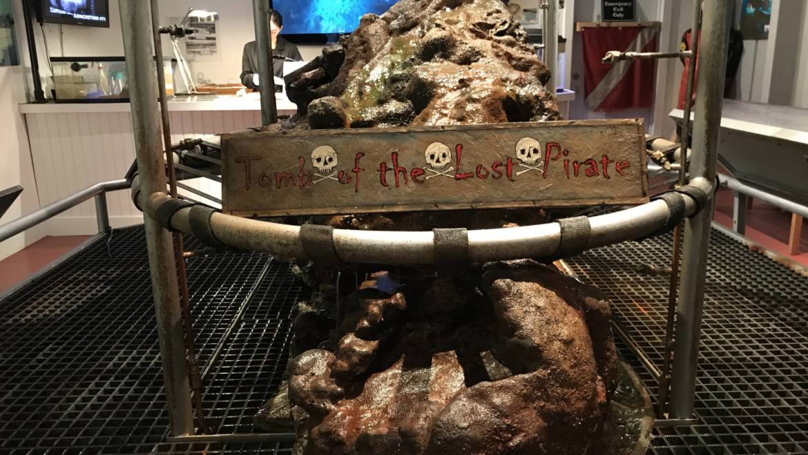 Preserving Artifacts from the Whydah Pirate Shipwreck, Cape Cod