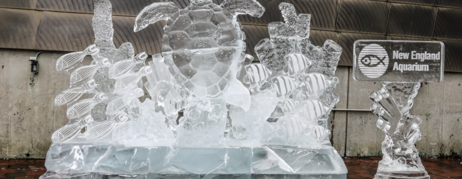 New England Aquarium Ice Sculpture for Boston’s First Night
