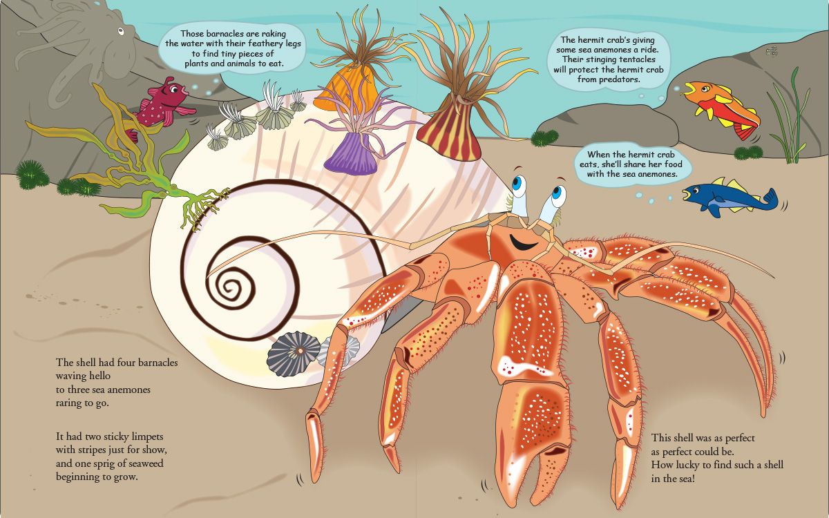 The Lucky Hermit Crab and Her Swirly New Shell – 