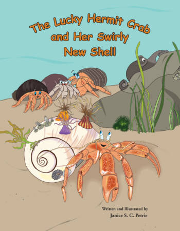 The_Little_Hermit_Crab_&_Her_Swirly_New_Shell_Cover_Spread_Clipp