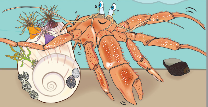 “The Lucky Hermit Crab and Her Swirly New Shell” makes a splash in the editorial reviews!